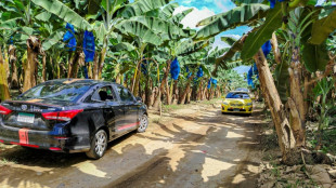 Bananera Chiquita inicia recontrataci&oacute;n de trabajadores despedidos en Panam&aacute;