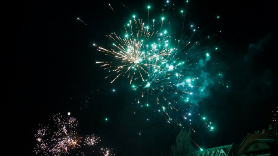 Wahlkampft&ouml;ne pr&auml;gen Bundestagsdebatte &uuml;ber Silvestergewalt