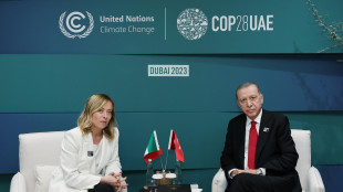 Meloni sente Erdogan, il presidente della Turchia sar&agrave; al G7