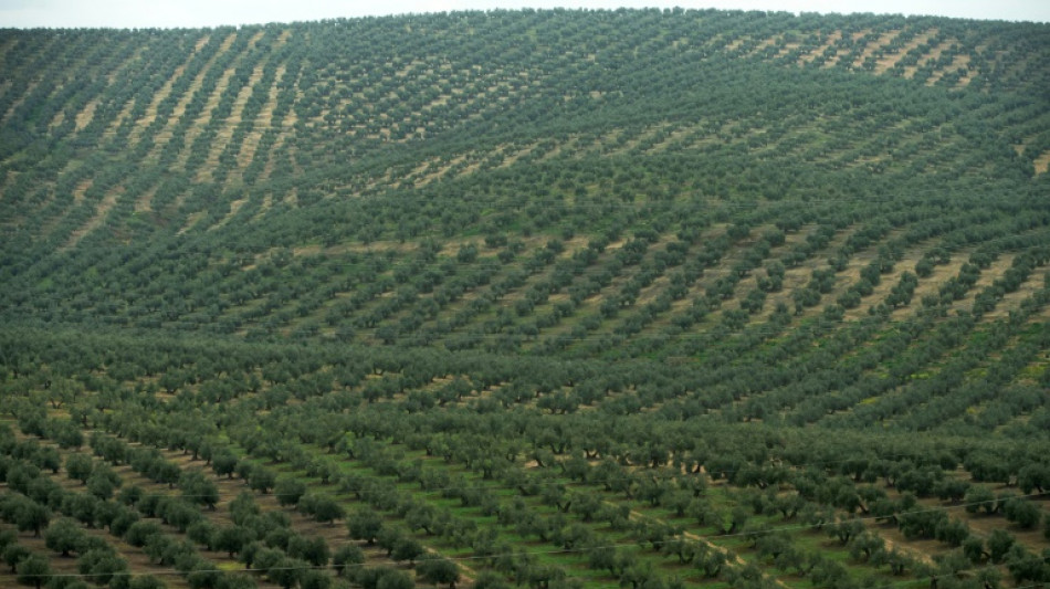 Environ 15% des terres cultivables dans le monde sont contamin&eacute;es aux m&eacute;taux lourds (&eacute;tude)