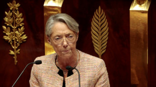 49.3: un gouvernement "ma&icirc;tre de la loi" faute de compromis trouv&eacute;s, selon une experte