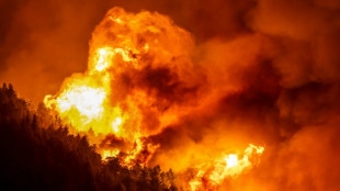 Body found after wildfire hits Croatian coastal town