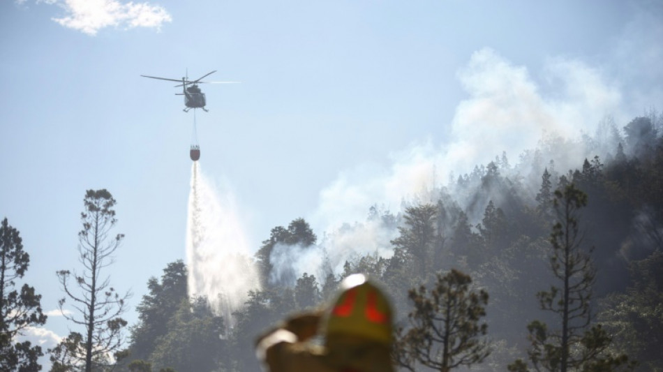 Combaten incendio que ya arras&oacute; casi 600 hect&aacute;reas en parque nacional de Argentina