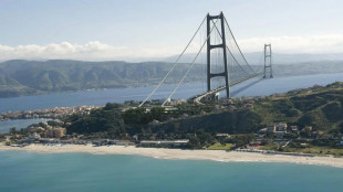 Ciucci, 'nella seconda metà del 2025 cantieri ponte Stretto'