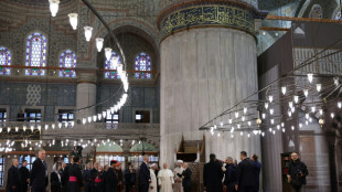 Le&oacute;n XIV visita la Mezquita Azul de Estambul