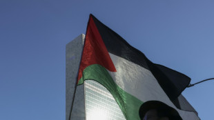 Hessen verbietet israelfeindlichen Pal&auml;stina-Verein