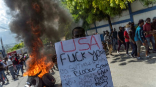 Ha&iuml;ti: le Conseil de s&eacute;curit&eacute; de l'ONU partag&eacute; sur une force internationale