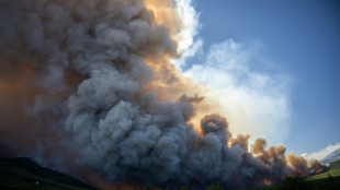 Water bombers take to skies as Greece battles wildfires