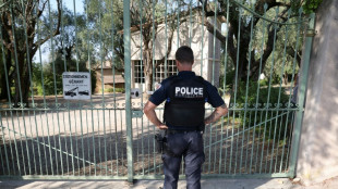 Two Renoir paintings missing after break-in at France museum