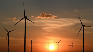 VDMA: Neuer Rekord bei Genehmigungen f&uuml;r Windkraftanlagen an Land