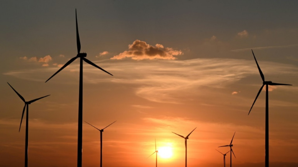 Verb&auml;nde: Klimaschutzgesetz st&auml;rken und nicht aush&ouml;hlen