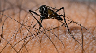 Azienda sanitaria, caso di virus Dengue nel Goriziano