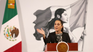 Aranceles de Trump a M&eacute;xico: golpe econ&oacute;mico y oportunidad para negociar