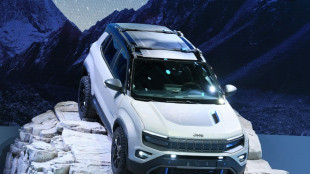 Stellantis anuncia la producci&oacute;n de 12 modelos de autos el&eacute;ctricos en Francia