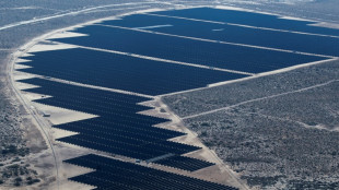 Le Mexique invite "tous les pays" à investir dans sa transition énergétique