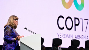 COP17 sobre biodiversidade entra na reta final sem perspectiva de consenso