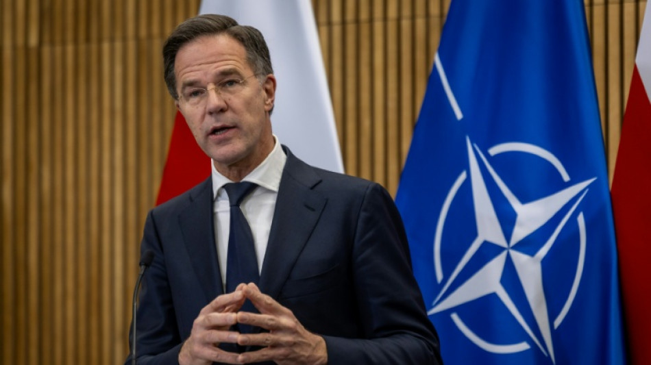La OTAN trabaja para fortalecer la seguridad en el &Aacute;rtico, afirm&oacute; Rutte