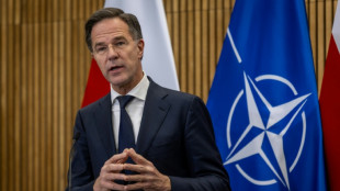 La OTAN trabaja para fortalecer la seguridad en el &Aacute;rtico, afirm&oacute; Rutte