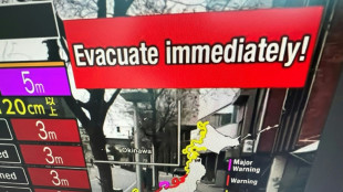 Violentos sismos en Jap&oacute;n provocan olas de tsunami