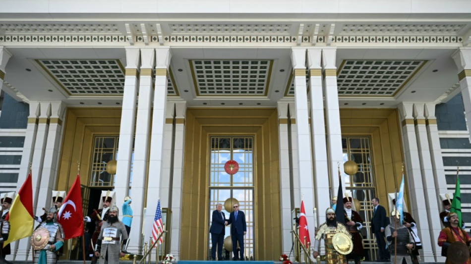Turkish delight: Trump revels in Erdogan's lavish welcome