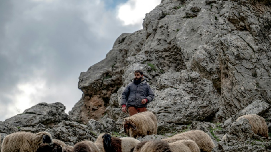 Iraqi Kurdish shepherds stoic in face of yet another war