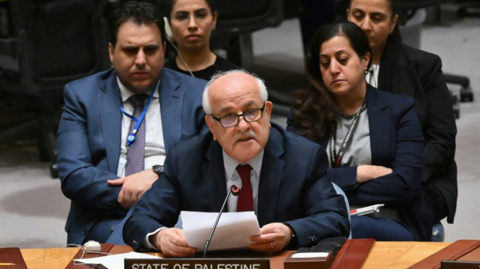Para EUA, ONU n&atilde;o &eacute; lugar para reconhecer Estado palestino