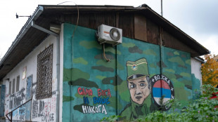 Mladic, punks et Kosovo : les murs de Belgrade, livre d'histoire &agrave; ciel ouvert 