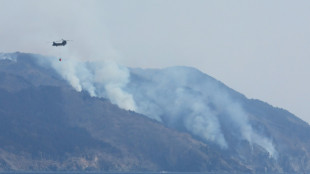 Miles de personas huyen del norte de Japón, arrasado por incendios forestales