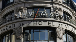 BHV Marais : 150 personnes rassembl&eacute;es vendredi contre la direction et "ses mensonges"