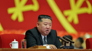 North Korean leader 'extremely obese': Seoul spy agency 