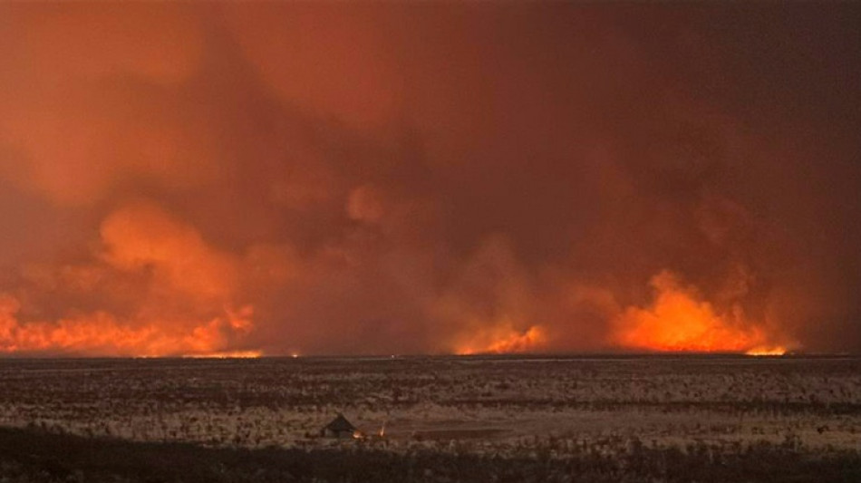 El gigantesco incendio en una reserva de animales de Namibia está controlado, según una ministra