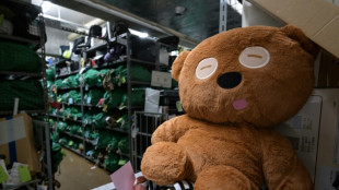 La polic&iacute;a de objetos perdidos de Tokio devuelve llaves, paraguas o mascotas