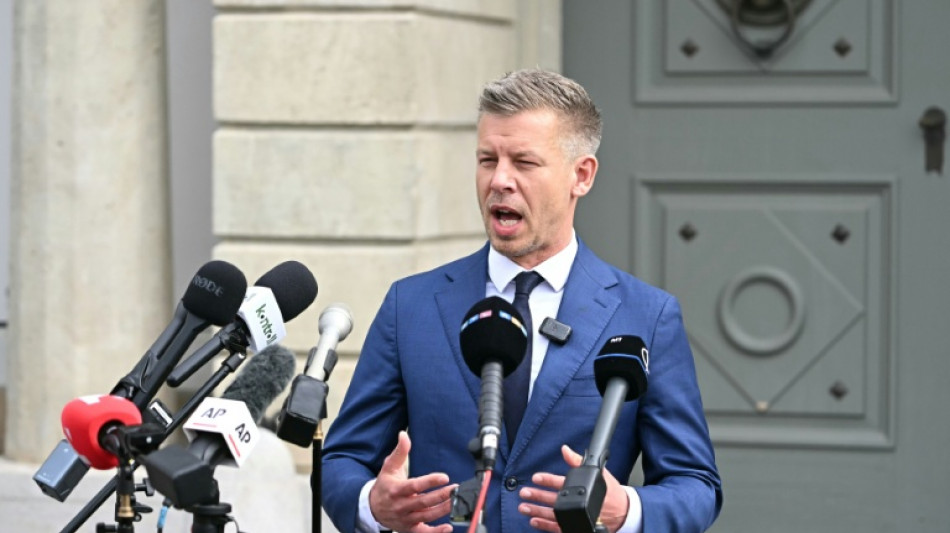 La nouvelle assembl&eacute;e hongroise sera convoqu&eacute;e d&eacute;but mai, pour &eacute;lire Magyar Premier ministre 