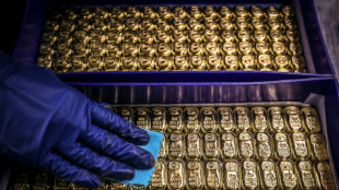 Preis f&uuml;r Gold steigt auf Rekordniveau