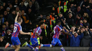 Palace sink Fulham to reach fourth place, Rutter rescues Brighton