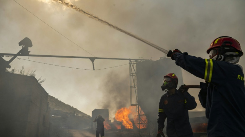 Gr&egrave;ce: 281 arrestations pour incendies criminels en 2026, toujours de nouveaux feux