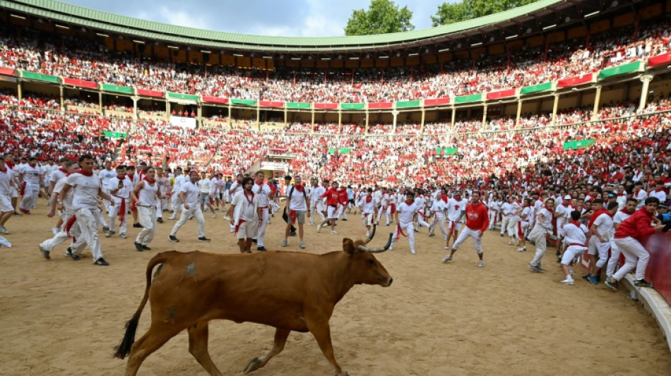 Seis heridos en el segundo encierro de toros de la fiesta espa&ntilde;ola de San Ferm&iacute;n