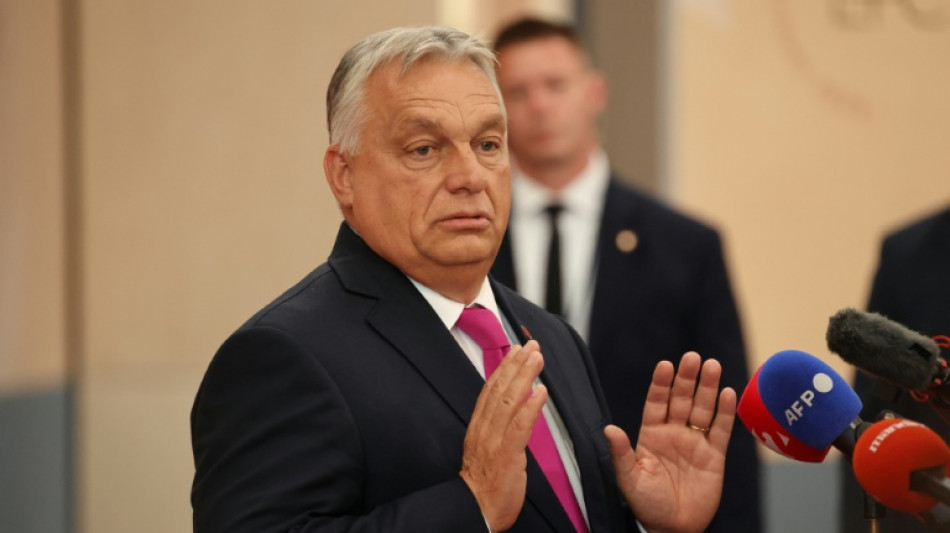 EU to probe alleged Hungarian spying
