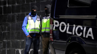 Detienen en Espa&ntilde;a a banda de exmilitares que robaban en viviendas