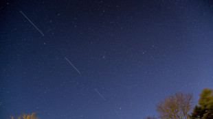 'Musk sta offrendo l'internet di Starlink gratis in Iran'