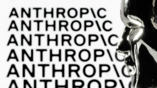 Anthropic cuts access to AI models over US 'national security' order
