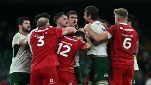 Rugby: l'Afrique du Sud atomise le pays de Galles 73-0 &agrave; Cardiff, Etzebeth voit rouge