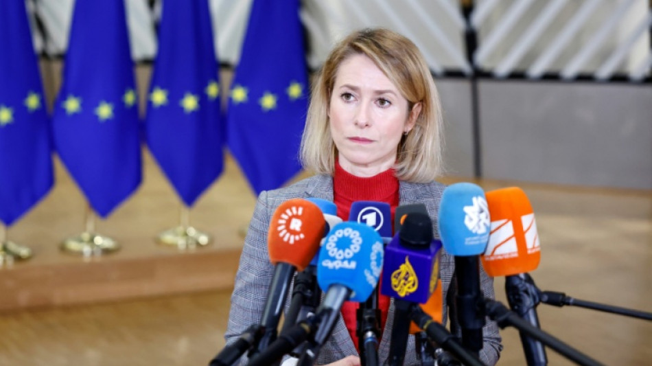 La UE prev&eacute; incluir a los Guardianes de la Revoluci&oacute;n iran&iacute;es en la lista de "terroristas"