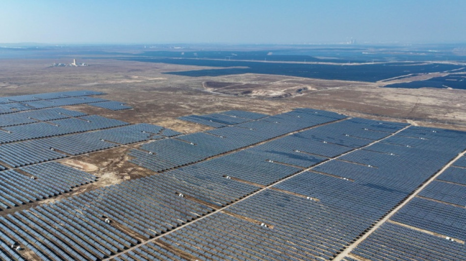 "Dilemme &eacute;cologique": l'expansion du solaire en Chine nuit aux oiseaux, selon une &eacute;tude