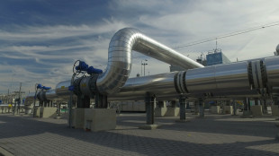 Snam raggiunge l'obiettivo del 90% di stoccaggi con le ultime aste