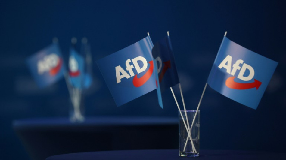 Landesverfassungsschutz darf AfD in Baden-W&uuml;rttemberg vorerst weiter beobachten