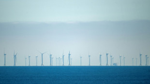RWE gibt Offshore-Windparkprojekte in den USA auf