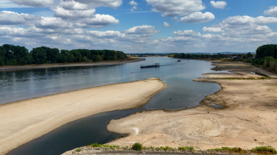 Folgen der Trockenheit: Flusspegel sinken weiter - Rheinpegel in Koblenz einstellig