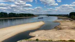 Folgen der Trockenheit: Flusspegel sinken weiter - Rheinpegel in Koblenz einstellig