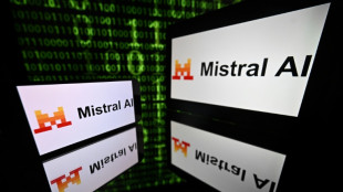Empresa de IA Mistral critica atores que buscam 'fortalecer sua posi&ccedil;&atilde;o no mercado'